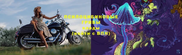 герыч Бронницы