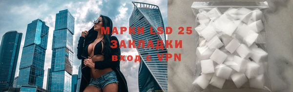 гидропоника Бородино