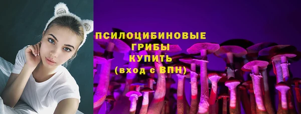 гидропоника Бородино